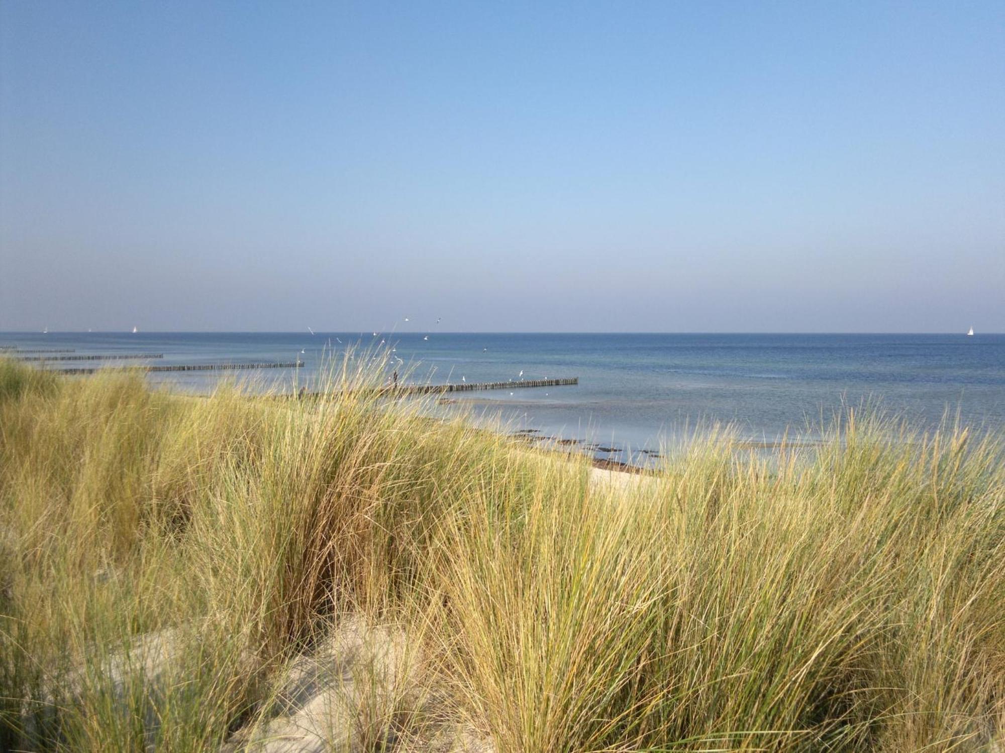 Boutique Bungalow In Insel Poel With Terrace 외부 사진